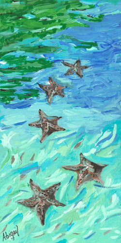 Starfish - Note Card