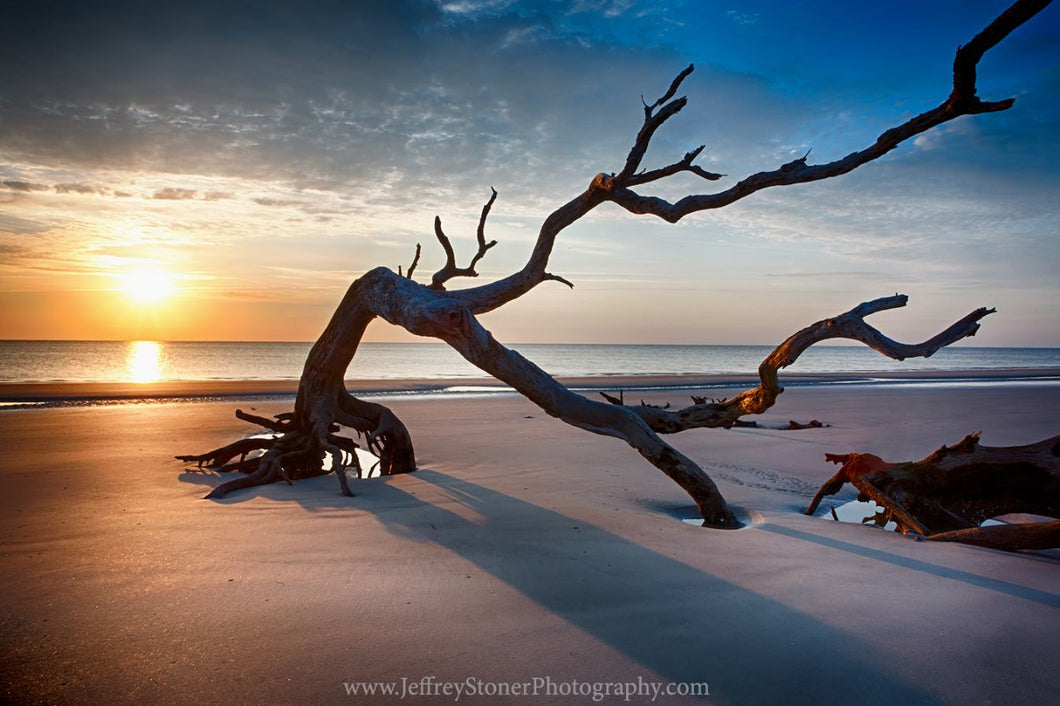 Sunrise on Driftwood beach