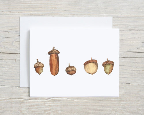 Acorns Card