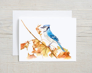 Fall Blue Jay Greeting Card