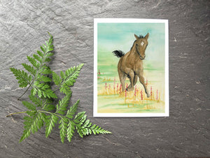 Foal Greeting Card