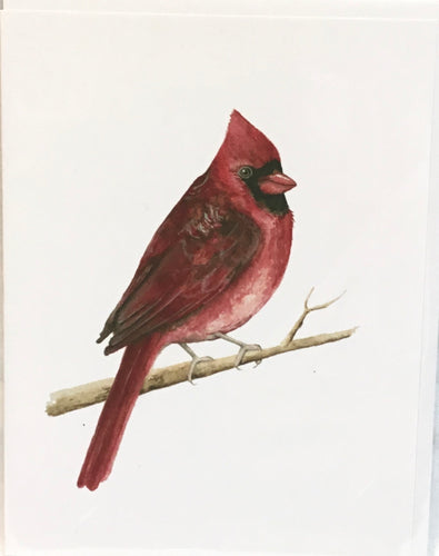 Cardinal Friend Card