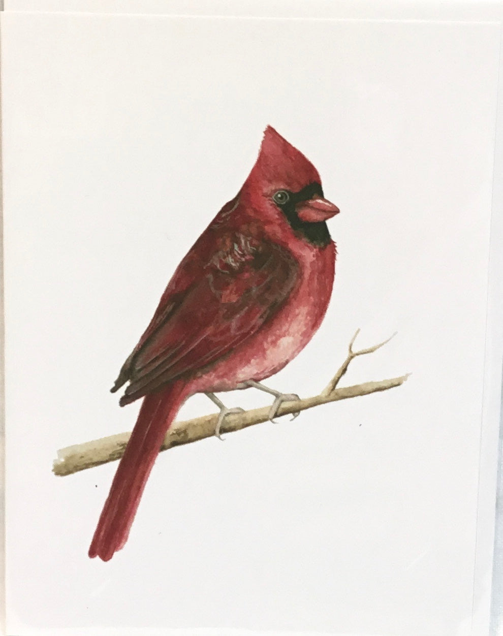 Cardinal Friend Greeting Card