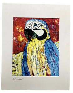Blue Parrot - Print