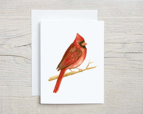 Cardinal Card