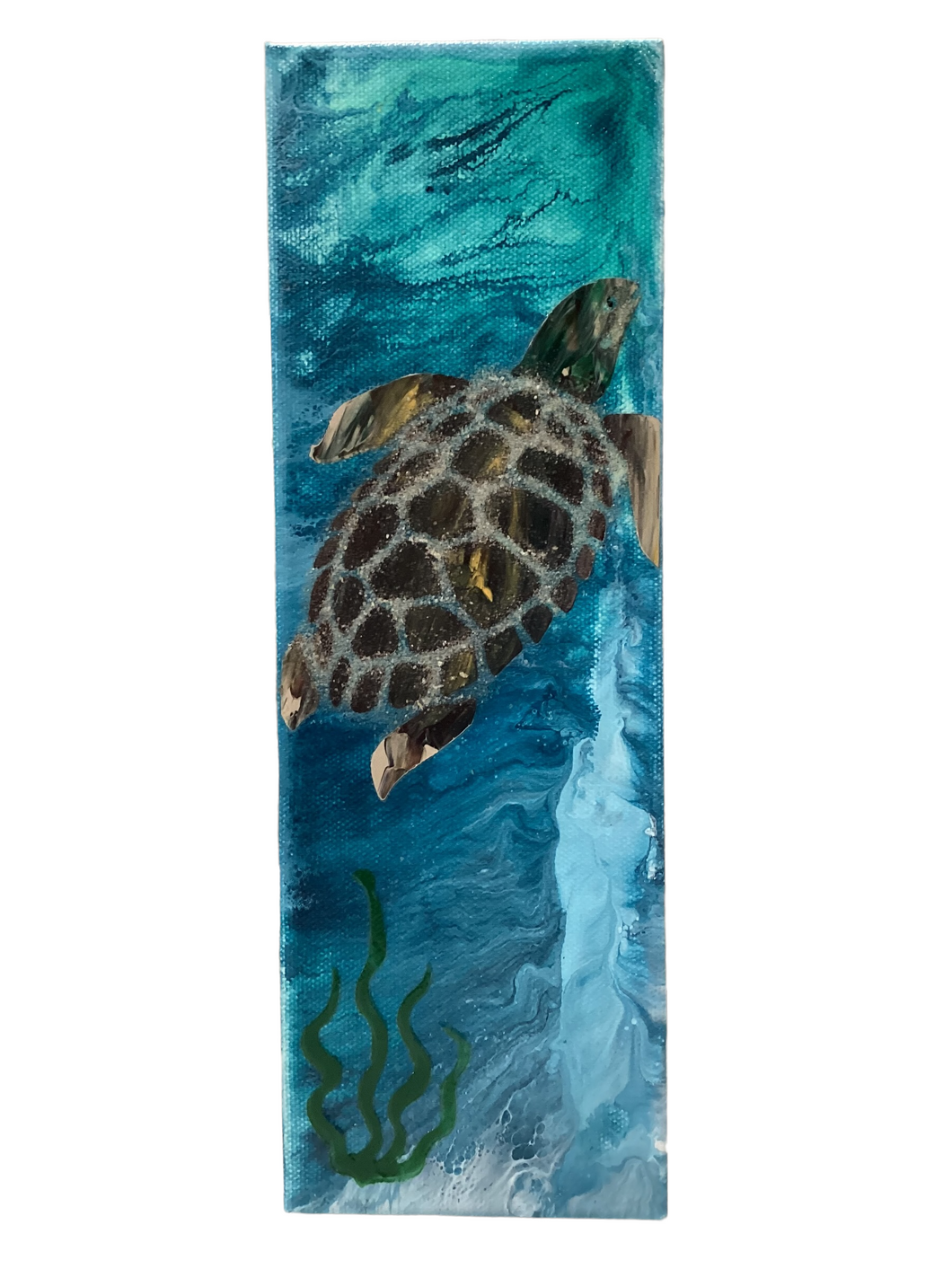 Turtle in Kelp