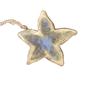 Starfish Ormanment