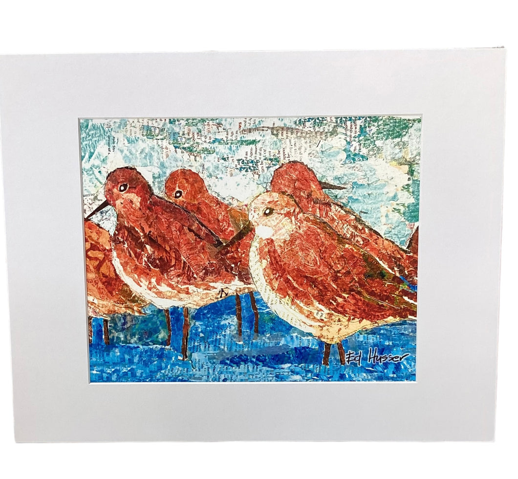 Shore Sandpipers - Print