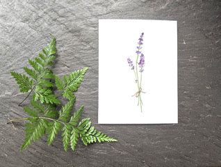 Lavender Card