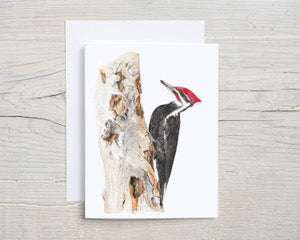 Red Headed Woodpecker Greeting Card